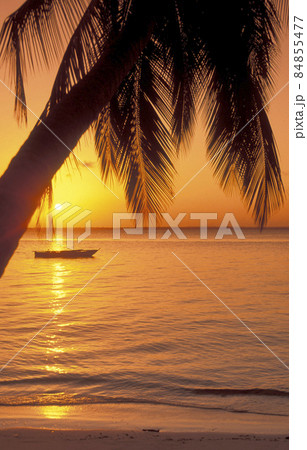 ZANZIBAR BWEJUU EASTCOAST LANDSCAPE ZANZIBAR BWEJUU EASTCOAST LANDSCAPE 84855477