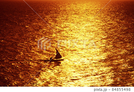 ZANZIBAR STONE TOWN DHONI ZANZIBAR STONE TOWN DHONI 84855498