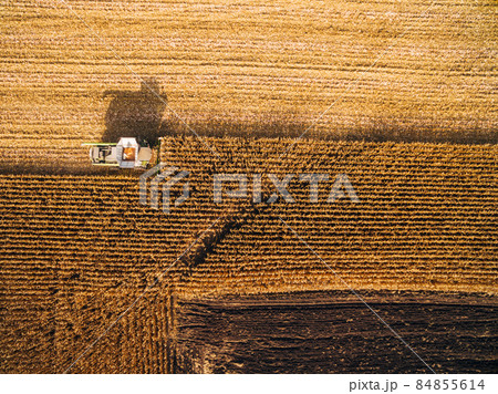 Aerial View of Harvesting Corn in the Green Big Field 84855614
