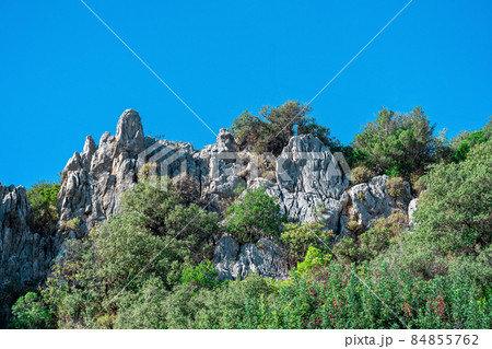tropical mountain landscape - bushy vegetation among white rocks 84855762