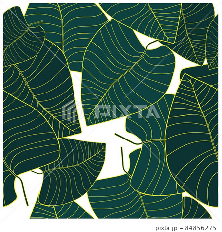 Beautiful closeup of green leaves for decoration design. Abstract green color background. Vector 84856275