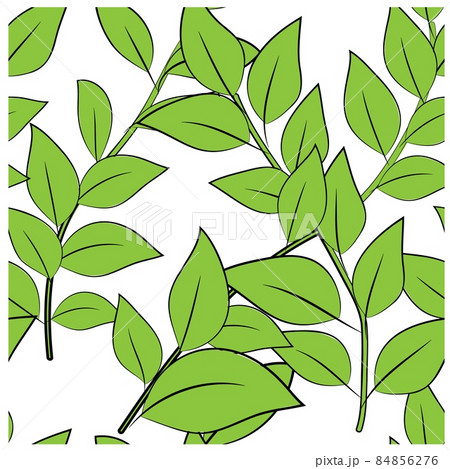 Beautiful closeup of green leaves for decoration design. Abstract green color background. Vector Beautiful closeup of green leaves for decoration design. Abstract green color background. Vector 84856276