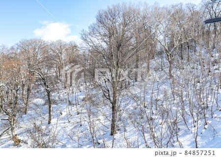 スキー場 リフトからの眺め 【長野県 野沢温泉スキー場】 スキー場 リフトからの眺め 【長野県 野沢温泉スキー場】 84857251