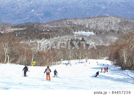 スキー場 初滑りを楽しむ人々 【長野県 野沢温泉スキー場】 スキー場 初滑りを楽しむ人々 【長野県 野沢温泉スキー場】 84857259