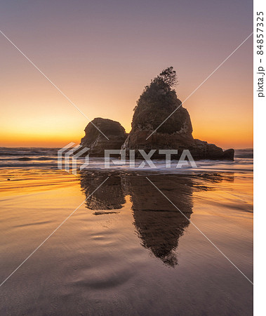 茨城県日立市　東滑川海浜緑地の朝 84857325