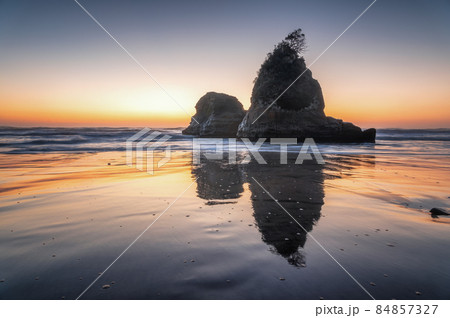茨城県日立市　東滑川海浜緑地の朝 84857327