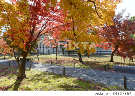 秋の二条城　城内の紅葉　京都市中京区 84857364