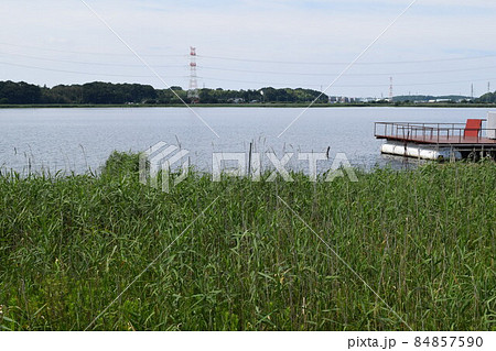 手賀沼 利根川水系 84857590