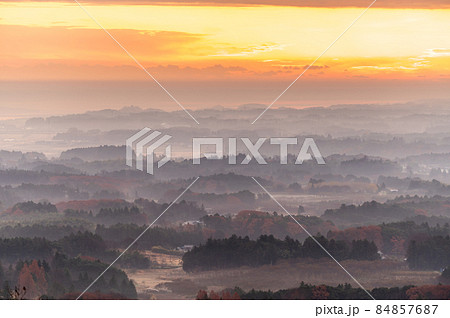 茨城県かすみがうら市　朝靄霞む三ツ石森林公園の朝 84857687