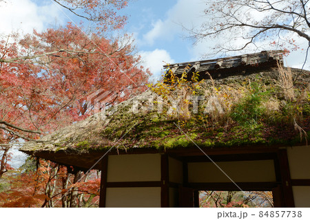 秋の常寂光寺　仁王門　京都市右京区嵯峨 84857738