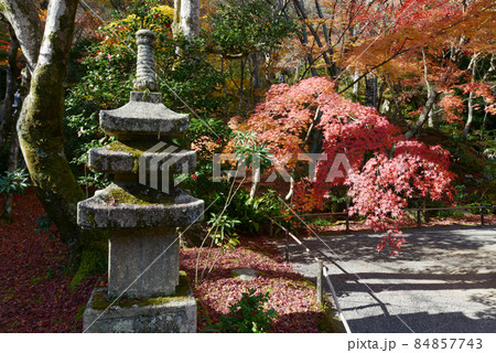 秋の常寂光寺　石塔と紅葉　京都市右京区嵯峨 84857743