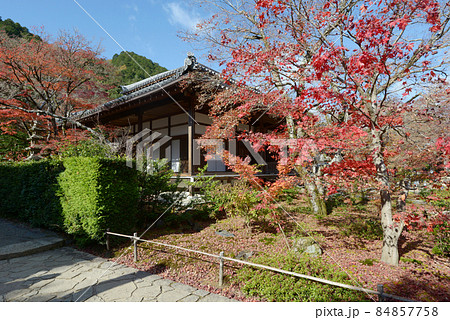 秋の常寂光寺 本堂 京都市右京区嵯峨 秋の常寂光寺 本堂 京都市右京区嵯峨 84857758