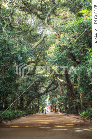 茨城県鹿嶋市　鹿島神宮 84857779