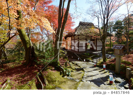 秋の常寂光寺　仁王門　京都市右京区嵯峨 84857846