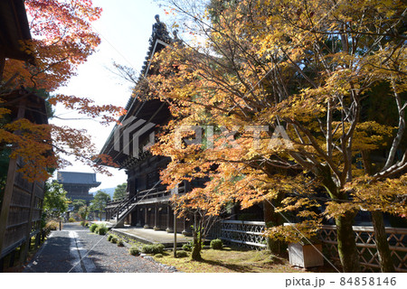 秋の清涼寺　境内の紅葉　京都市右京区嵯峨 84858146