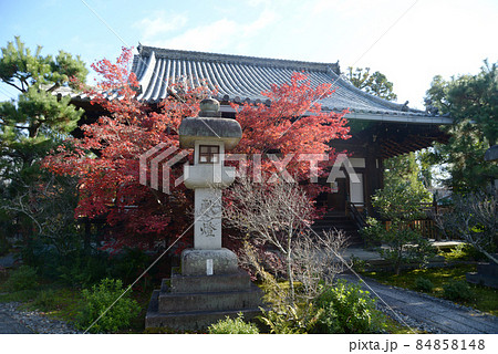秋の清涼寺 阿弥陀堂 京都市右京区嵯峨 秋の清涼寺 阿弥陀堂 京都市右京区嵯峨 84858148
