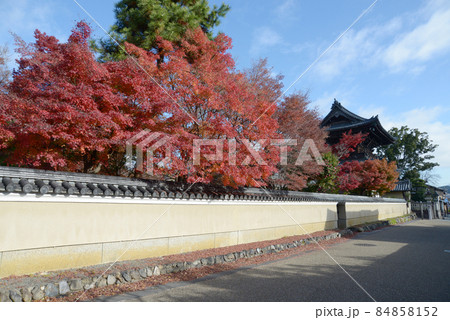 秋の清涼寺　紅葉と仁王門　京都市右京区嵯峨 84858152