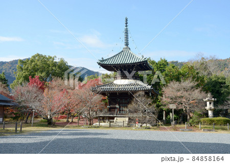 秋の清涼寺　多宝塔　京都市右京区嵯峨 84858164
