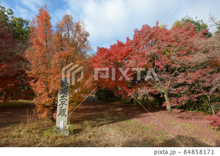秋の清涼寺　聖徳太子殿石碑　京都市右京区嵯峨 84858171