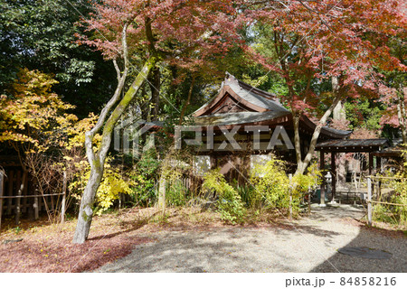秋の梨木神社　境内の紅葉　京都市上京区 84858216