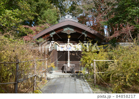 秋の梨木神社　本殿　京都市上京区 84858217