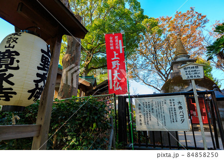 東京 台東区 上野公園にある上野大佛 東京 台東区 上野公園にある上野大佛 84858250