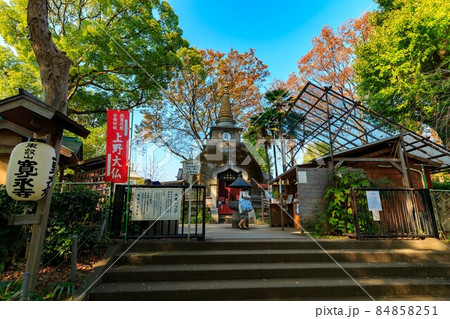 東京 台東区 上野公園にある上野大佛 東京 台東区 上野公園にある上野大佛 84858251