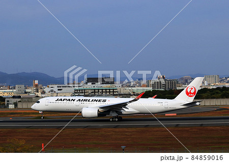 大阪国際空港　JAL　AIRBUS　A350　飛行機　着陸態勢　スカイパーク 84859016