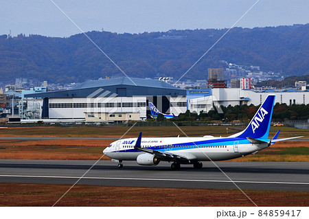 大阪国際空港　ANA　飛行機　離陸態勢　スカイパーク 84859417