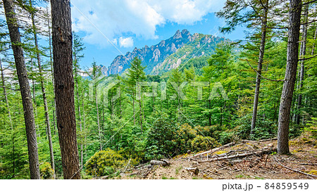 登山道から望む瑞牆山 84859549