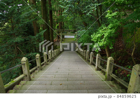 白山比咩神社 表参道 二の鳥居と石段 白山比咩神社 表参道 二の鳥居と石段 84859625