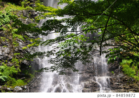 《兵庫県》国定公園、天滝渓谷の風景【5月】 84859872