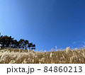 青空とススキ 84860213