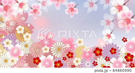 桜 梅 菊 背景のイラスト素材