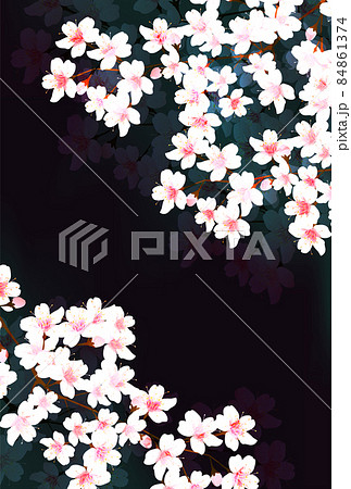 桜 春 花 背景 のイラスト素材
