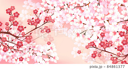 桜 梅 春 背景 のイラスト素材 桜 梅 春 背景 のイラスト素材