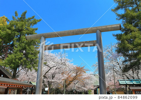 【東京都】桜満開の靖国神社 84862099
