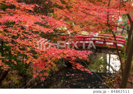 鎌倉国宝館前紅葉 84862511