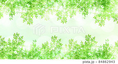新緑 葉 光 背景 新緑 葉 光 背景 84862943