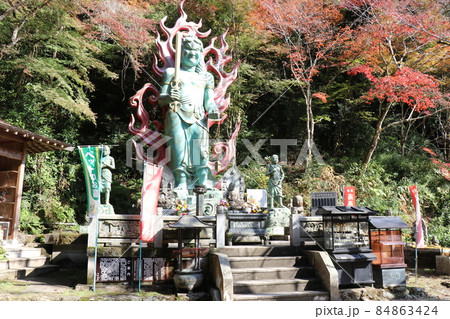 龍蔵寺 イチョウ 紅葉 山口県山口市 紅葉狩り 龍蔵寺 イチョウ 紅葉 山口県山口市 紅葉狩り 84863424