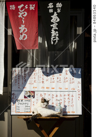 地域猫 地域猫 84863540