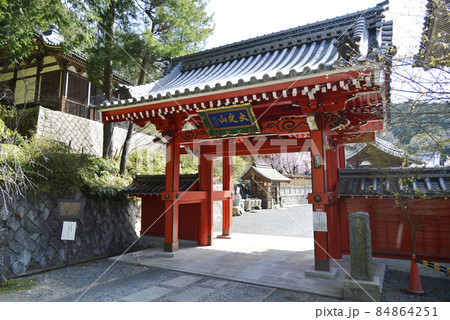 春の本圀寺 赤門 京都市山科区 春の本圀寺 赤門 京都市山科区 84864251
