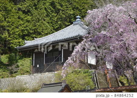 春の本圀寺 経蔵 京都市山科区 春の本圀寺 経蔵 京都市山科区 84864252