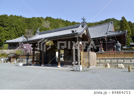 春の本圀寺 二天門 京都市山科区 春の本圀寺 二天門 京都市山科区 84864253