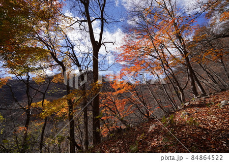 群馬県安中市　めがね橋付近から旧中山道の遊歩道に登る登山道 84864522