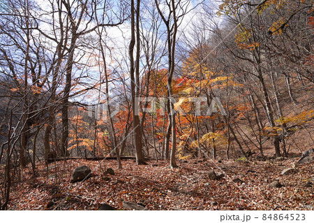 群馬県安中市 めがね橋付近から旧中山道の遊歩道に登る登山道 群馬県安中市 めがね橋付近から旧中山道の遊歩道に登る登山道 84864523