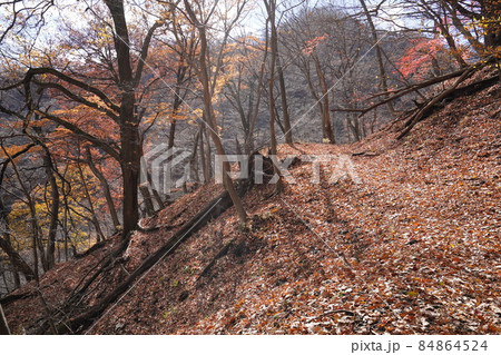 群馬県安中市 めがね橋付近から旧中山道の遊歩道に登る登山道 群馬県安中市 めがね橋付近から旧中山道の遊歩道に登る登山道 84864524