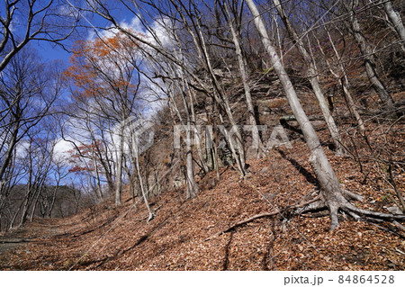 群馬県安中市　めがね橋付近から旧中山道の遊歩道に登る登山道 84864528
