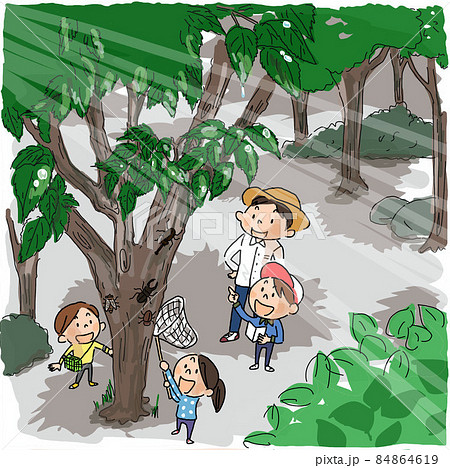 夏休みに虫取りに行く家族 夏休みに虫取りに行く家族 84864619