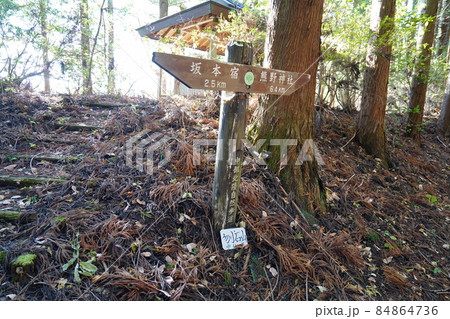 群馬県安中市 旧中山道の遊歩道 めがね橋からの道と合流以後、坂本宿へ向かう旧中山道 刎石山付近 群馬県安中市 旧中山道の遊歩道 めがね橋からの道と合流以後、坂本宿へ向かう旧中山道 刎石山付近 84864736
